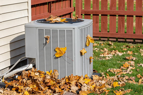 Best HVAC air duct cleaning  in Audubon, IA
